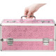 Большой кейс для хранения секс-игрушек BMS Factory Large Lokable Vibrator Case Pink, кодовый замок