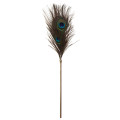 Перо павича Taboom Peacock Tickler