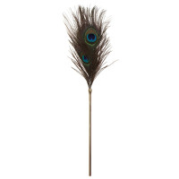 Перо павича Taboom Peacock Tickler