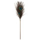 Перо павича Taboom Peacock Tickler