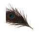 Перо павича Taboom Peacock Tickler