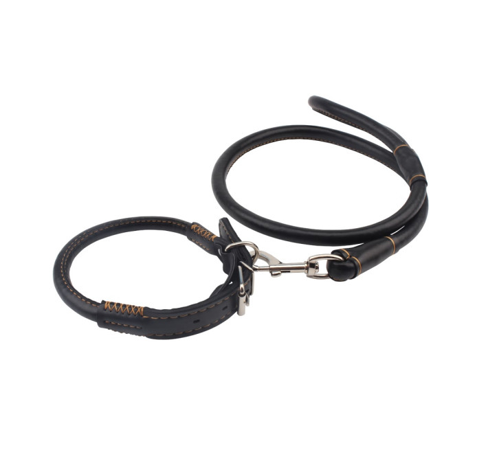 Нашийник і повідець Chisa Sexy Slave Collar and Leash