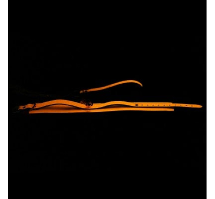 Ошейник с поводком и колокольчиком DS Fetish оранжевый