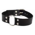 Нашийник sLash Passion, Smooth Black