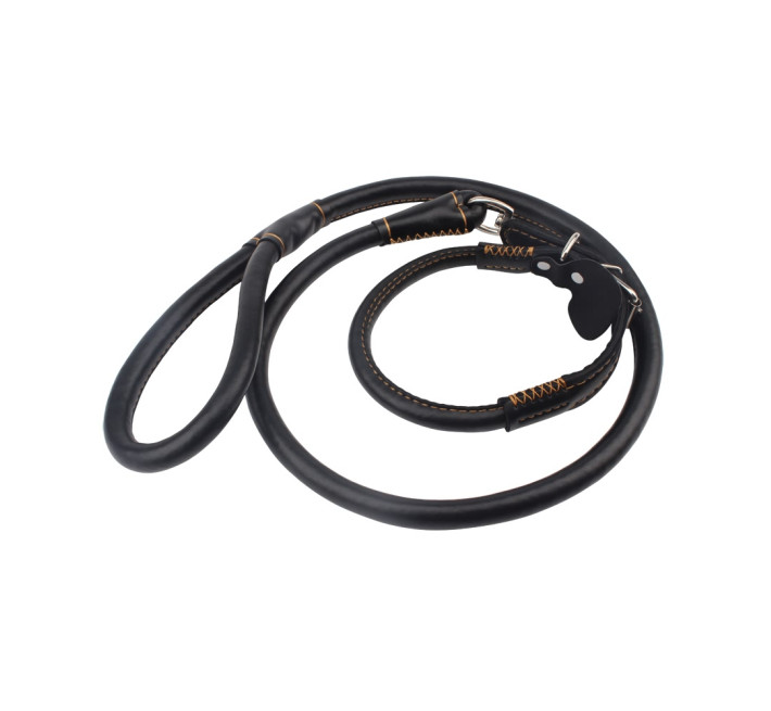 Нашийник і повідець Chisa Sexy Slave Collar and Leash