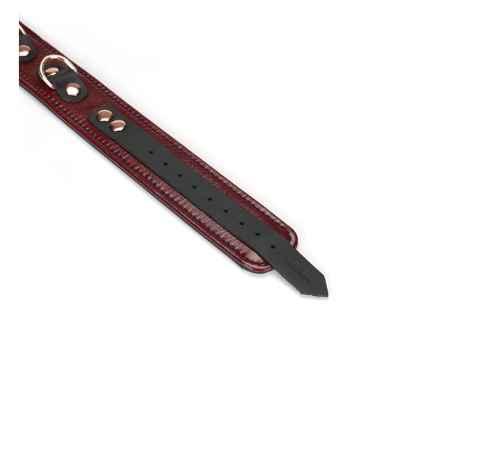 Кожаный ошейник с поводком Liebe Seele Wine Red Collar and Leash, 3 кольца для крепления