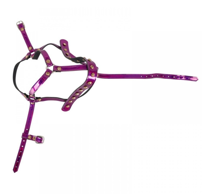 Упряжка для головы Bad Kitty Head Harness