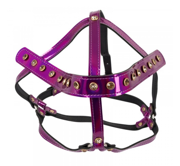 Упряжка для головы Bad Kitty Head Harness