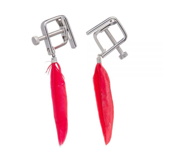 Зажимы на соски Lucky Bay Nipple play квадратные перышки Красные