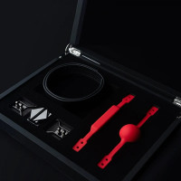 Набір кляп-кулька і кляп брусок на шкіряному ремінці Lockink