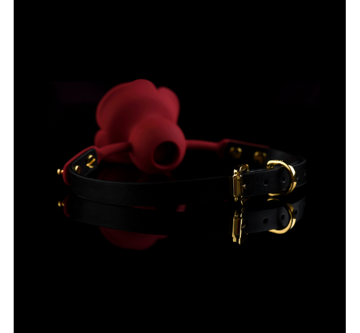 Кляп троянда із силікону та італійської шкіри UPKO Rose Ball Gag