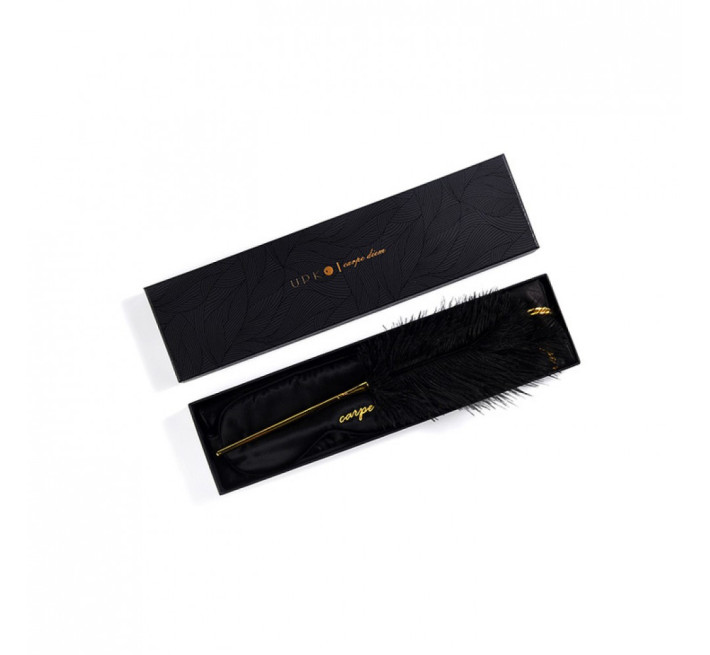 Набор для страстных вечеров UPKO "Лови момент" Carpe Diem Premium Bondage Set