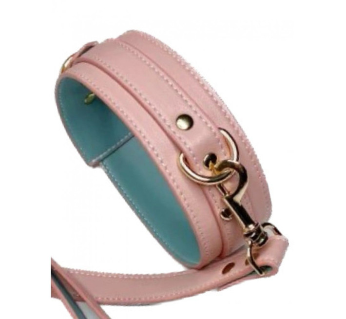 Нашийник з повідцем DS Fetish Collar with leash pink
