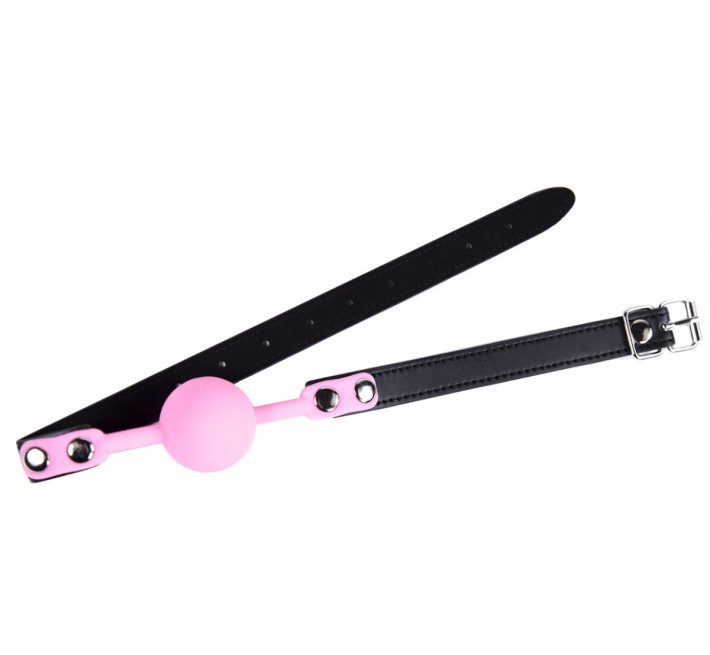 Кляп силіконовий DS Fetish Silicone ball gag metal accesso pink