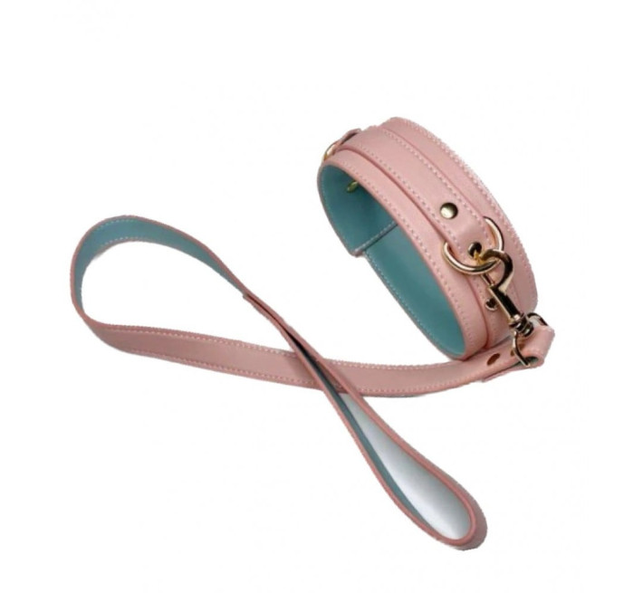 Нашийник з повідцем DS Fetish Collar with leash pink