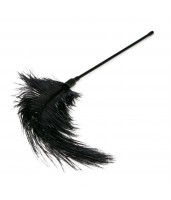 Тіклер страусине на довгій ручці EasyToys, чорний, 55 см