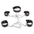 Система фіксації DS Fetish Collar with restraints black