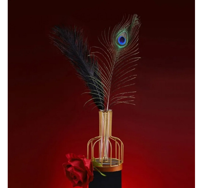 Набір з 2 пір'їнок Lockink Natural Peacock Flirting Feather Tickler