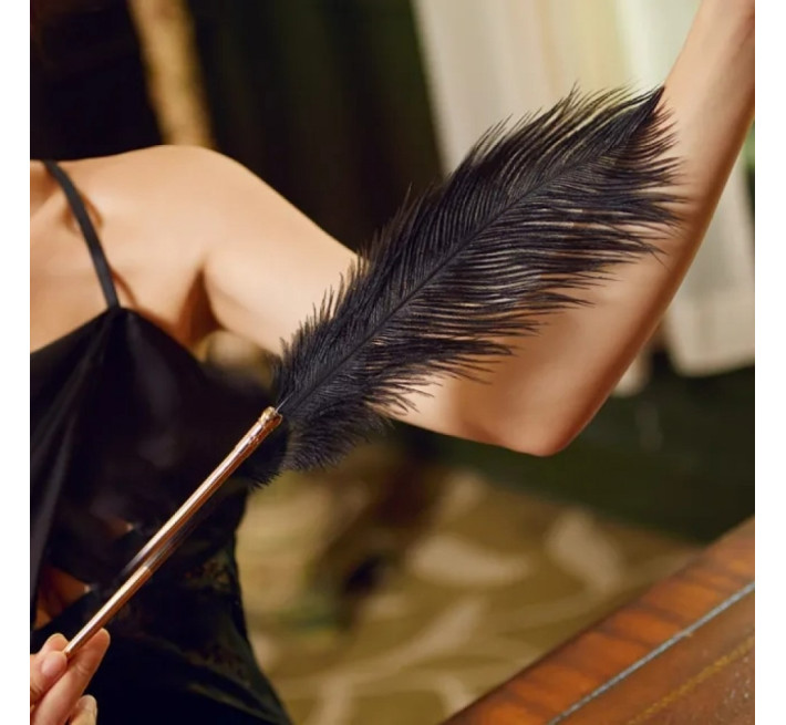 Набір з 2 пір'їнок Lockink Natural Peacock Flirting Feather Tickler