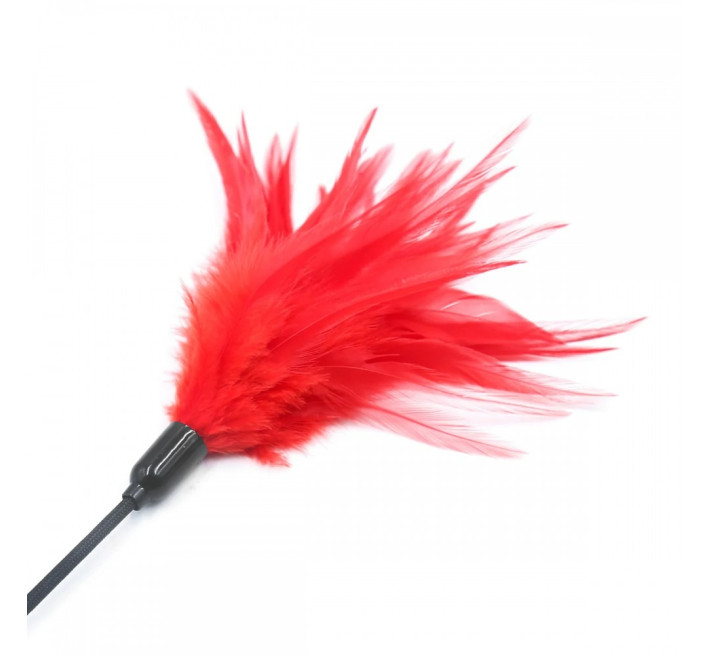 Тиклер на длинной ручке DS Fetish Черно-красный, 63 см