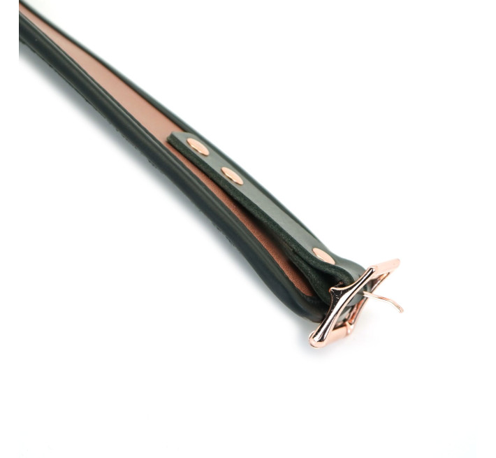 Широкий нашийник з повідцем Liebe Seele Rose Gold Memory Collar with Leash, натуральна шкіра