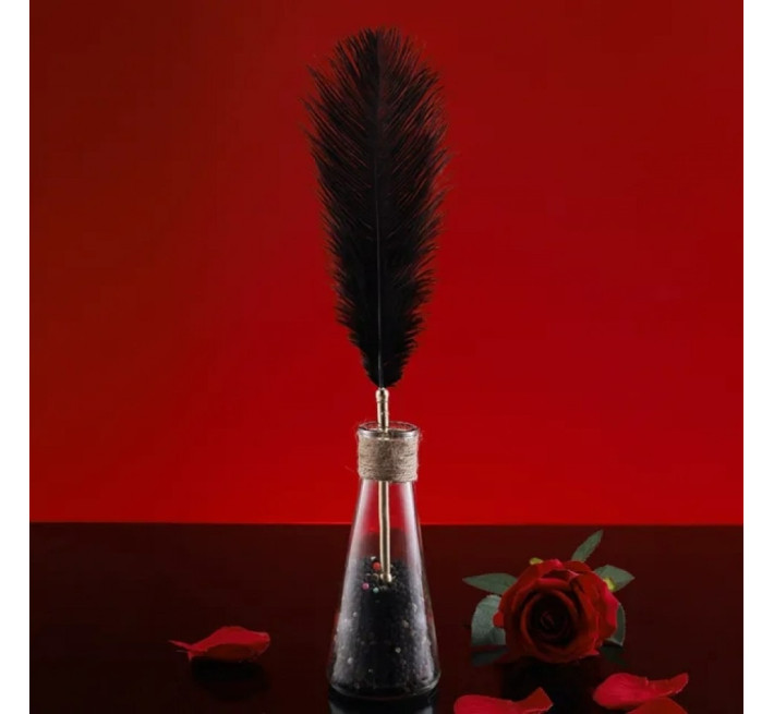 Набір з 2 пір'їнок Lockink Natural Peacock Flirting Feather Tickler