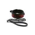 Нашийник з повідцем Dreamtoys Blaze Deluxe Collar & Leash