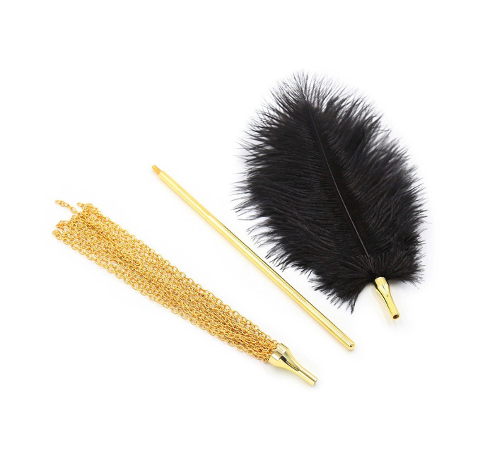 Перо для лоскотання з металевим батогом DS Fetish Whip Sex Feather