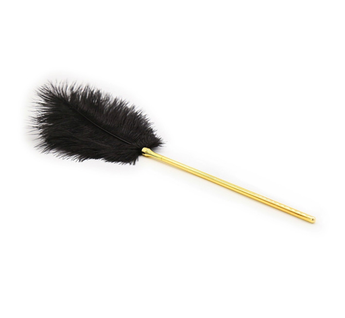 Перо для лоскотання з металевим батогом DS Fetish Whip Sex Feather