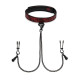 Нашийник із затискачами на соски Sweet Anticipation Fifty Shades of Grey Collar Nipp