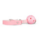 Набір БДСМ Loveboxxx Secret Pleasure Chest - Pink Pleasure