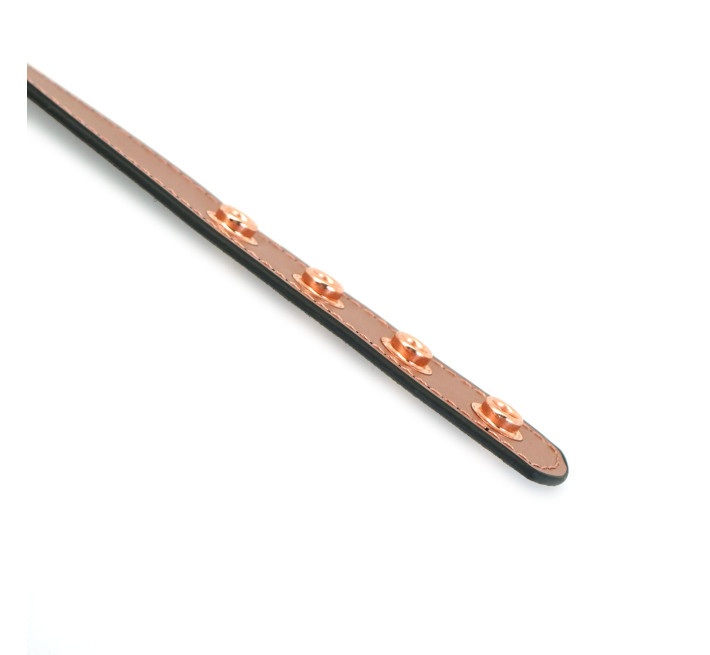 Нашийник із затискачами для сосків Liebe Seele Rose Gold Memory Collar with Nipple Clamps, шкіра