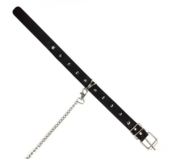 Ошейник с шипами и поводком Art of Sex Collar Spikes and Leash