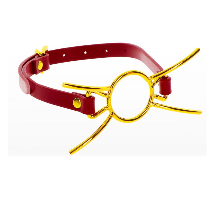 Кляп з кільцем Taboom Open Mouth Spider Gag