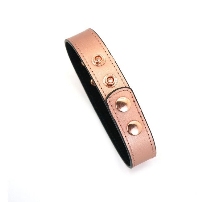 Нашийник із затискачами для сосків Liebe Seele Rose Gold Memory Collar with Nipple Clamps, шкіра