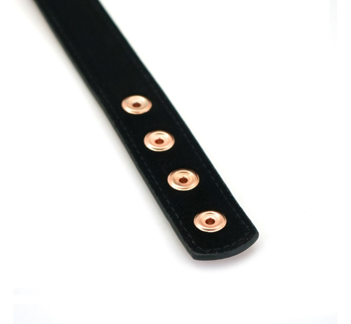 Нашийник із затискачами для сосків Liebe Seele Rose Gold Memory Collar with Nipple Clamps, шкіра