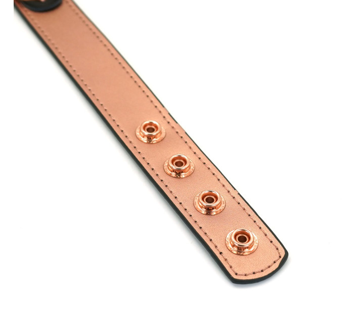 Нашийник із затискачами для сосків Liebe Seele Rose Gold Memory Collar with Nipple Clamps, шкіра