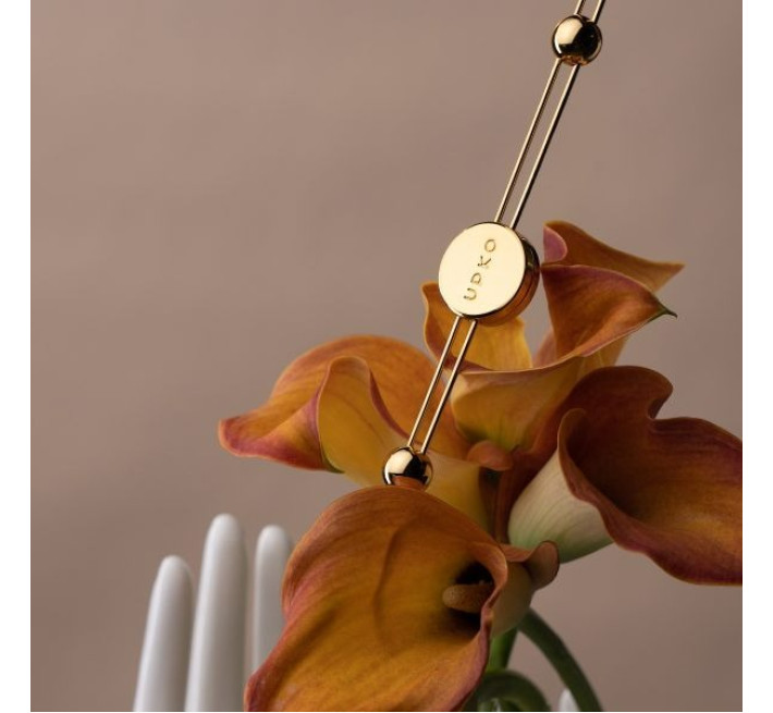 Подвійні затискачі для сосків та набір ланцюжків для клітора UPKO