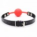 Кляп силіконовий DS Fetish Silicone ball gag metal accesso red