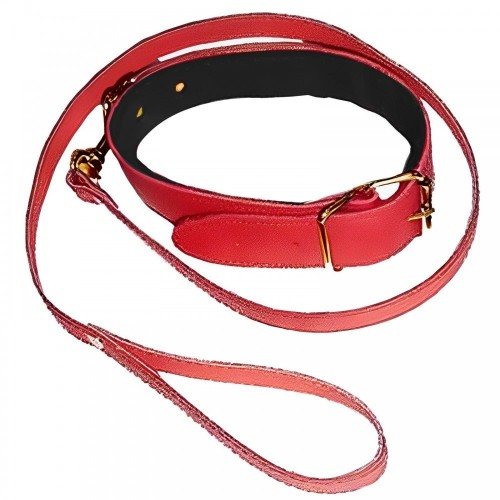 Нашийник з повідцем DS Fetish Collar with leash red