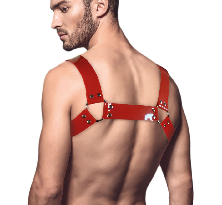 Чоловіча портупея на груди Feral Feelings - Bulldog Harness Red