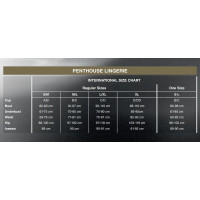 Бодістокінг з візерунком у вигляді крил і метелика Penthouse Wild catch Чорний XL
