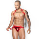 Чоловічий еротичний комплект JSY 9171 One Size