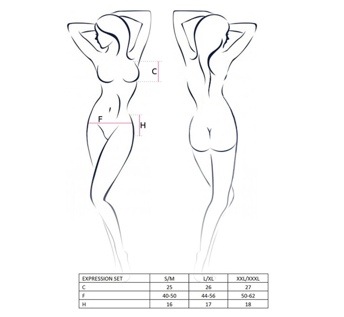 Женский эротический комплект Passion Erotic Line EXPRESSION SET XXL/XXXL Черный