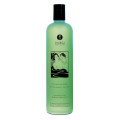 Гель для душу Shunga Shower Gel Sensual Mint 500 мл
