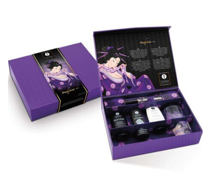 Подарунковий набір Shunga Naughtier Kit
