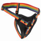 Трусики для страпона радужные Strap U Take the Rainbow Universal