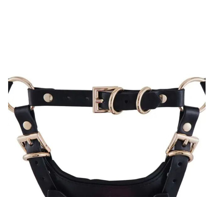 Сбруя зі страпоном LOCKINK SEVANDA Queen Sheba Set with Pink Dildo