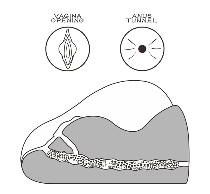 Мастурбатор LoveToy Streetgirl's #2 Flesh