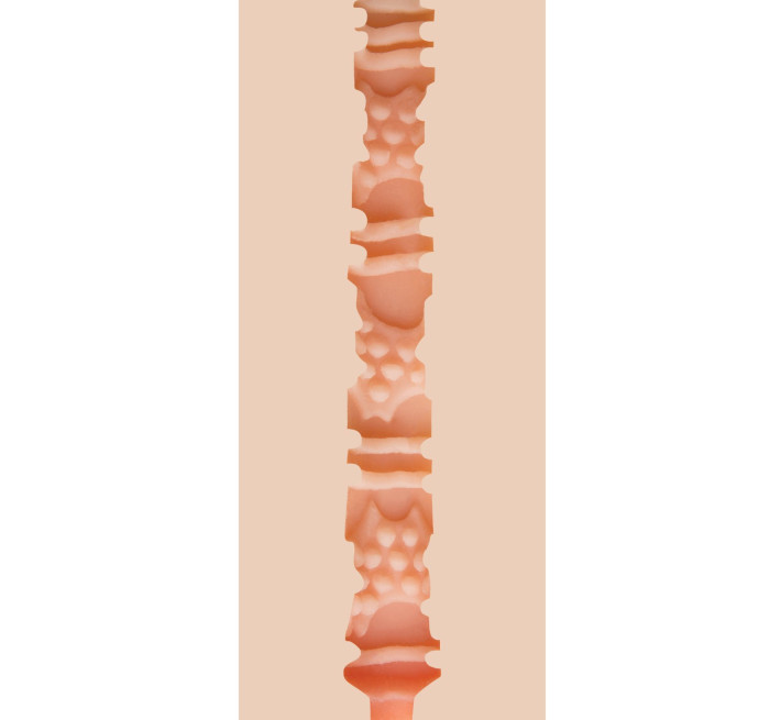 Мастурбатор попка Fleshjack Boys: Trenton Ducati Titanium